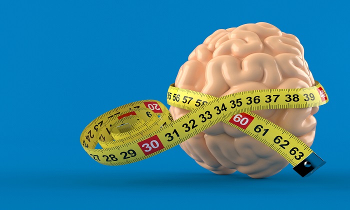 رابطه چاقی و کوچک شدن مغز رابطه چاقی و کوچک شدن مغز