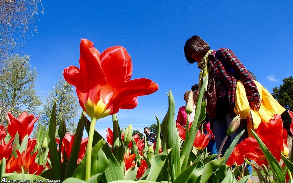 برترین اقتصادهای جهان در جذب  برترین اقتصادهای جهان در جذب