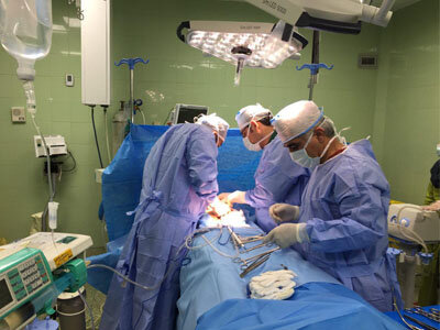 ایران در رتبه ۲۶ دنیا در اهدای عضو/ ۲۵ هزار نفر در لیست انتظار ایران در رتبه ۲۶ دنیا در اهدای عضو/ ۲۵ هزار نفر در لیست انتظار