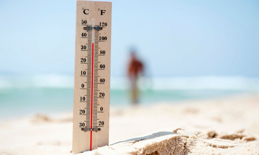 گرمای هلند 400 نفر را کشت گرمای هلند 400 نفر را کشت