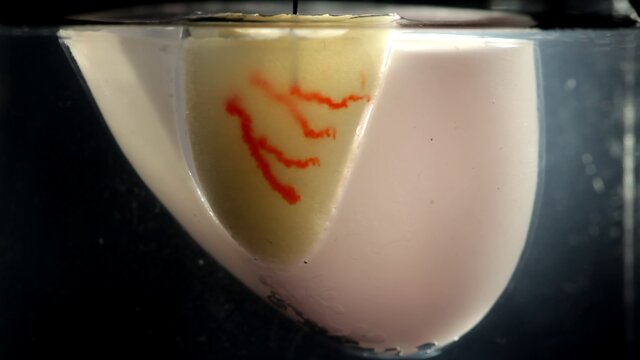 روش جدید دانشمندان دانشگاه هاروارد برای چاپ 3 بعدی اندامها روش جدید دانشمندان دانشگاه هاروارد برای چاپ 3 بعدی اندامها