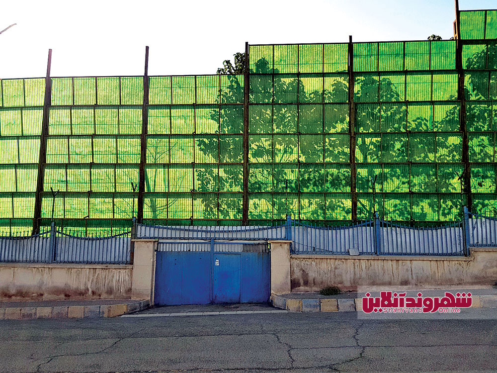 راز باغ‌وحش شگفت‌انگیز جاده کرج/ 17 ببر در باغ شخصی