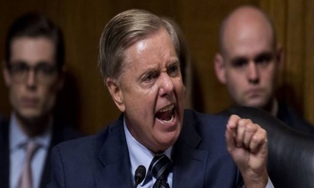 واکنش سناتور آمریکایی به خروج آمریکا از شمال سوریه: فاجعه‌ای در شرف وقوع است