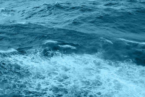 اسیدی‌ شدن اقیانوس‌ها، عامل نابودی انبوه حیات دریایی