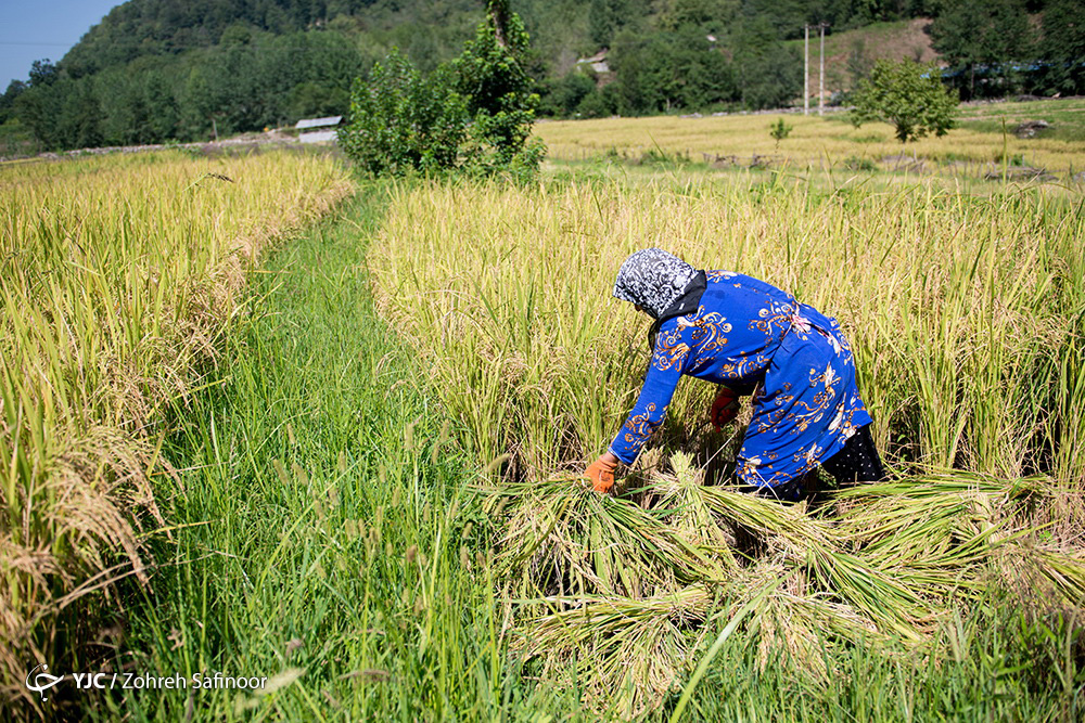 کوهرنگ (چهارمحالوبختیاری) 18 درجه زیر صفر کوهرنگ (چهارمحالوبختیاری) 18 درجه زیر صفر