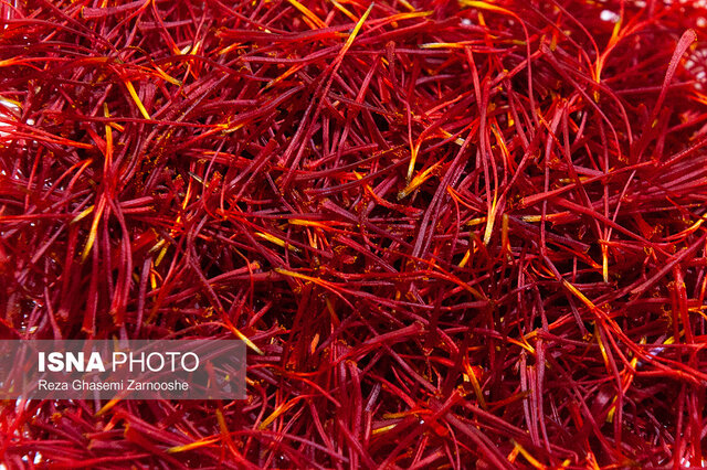 دستگیری ۱۲ قاچاقچی با ۴۳۸ کیلوگرم زعفران تفلبی در مشهد دستگیری ۱۲ قاچاقچی با ۴۳۸ کیلوگرم زعفران تفلبی در مشهد