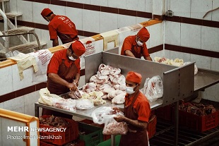 تعطیلی ۵۷ کشتارگاه مجهز در کشور تعطیلی ۵۷ کشتارگاه مجهز در کشور