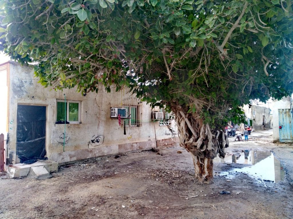 گزارشی از زیست بومیان و کارگران مهاجر در منطقه آزاد: مطرودان کیش