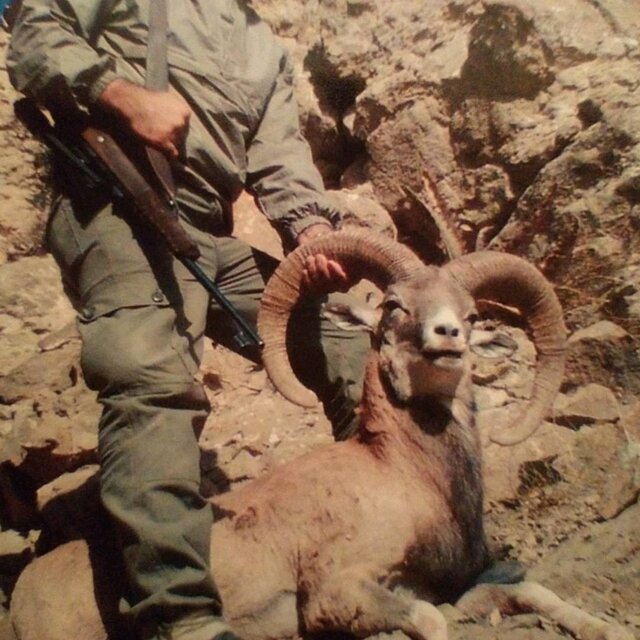 دستگیری 3 شکارچی متخلف در منطقه حفاظت شده سهند در آذربایجان شرقی دستگیری 3 شکارچی متخلف در منطقه حفاظت شده سهند در آذربایجان شرقی