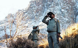 چوب بنزین لای چرخ محیط بانی چوب بنزین لای چرخ محیط بانی