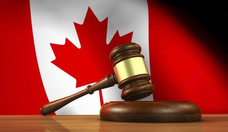 بهترین رشته‌های تحصیلی در کانادا/ آشنایی با رشته‌های پرطرفدار در این کشور