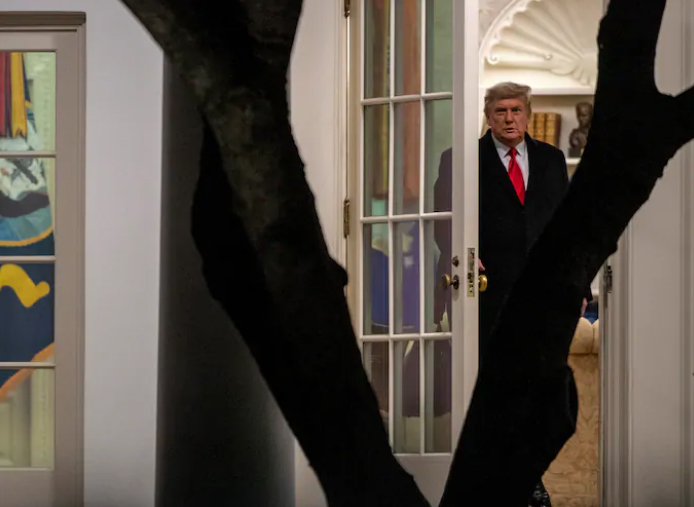 دموکراتها سنا را هم بردند/ بدترین شکست جمهوریخواهان آمریکا در 88 سال گذشته دموکراتها سنا را هم بردند/ بدترین شکست جمهوریخواهان آمریکا در 88 سال گذشته