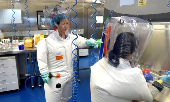 موافقت چین با ورود بازرسان سازمان بهداشت جهانی برای تحقیق درباره منشا ویروس کرونا موافقت چین با ورود بازرسان سازمان بهداشت جهانی برای تحقیق درباره منشا ویروس کرونا