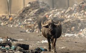 قلعه چنعان اهواز