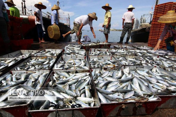 1000 ماهیگیر هندی هنوز در ایران به سر میبرند 1000 ماهیگیر هندی هنوز در ایران به سر میبرند
