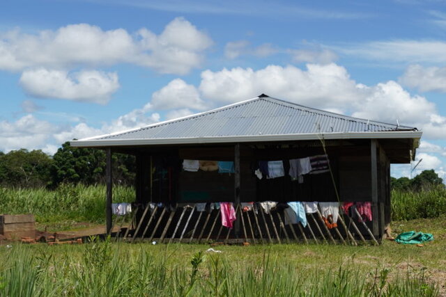 وضعیت نگرانکننده بومیان برزیل در همهگیری کرونا  برزیل