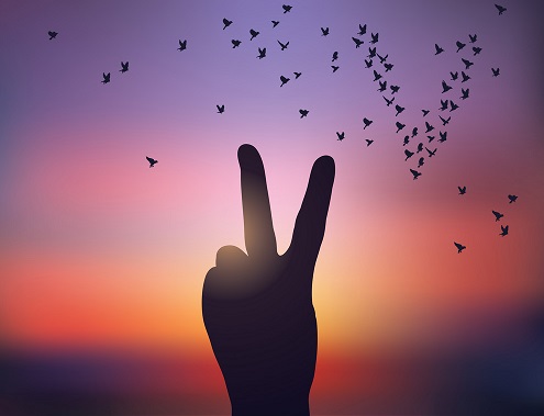 نبرد سخت (قسمت آخر): پیروزی نبرد سخت (قسمت آخر): پیروزی