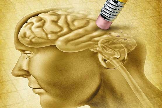 توصیه های مدیر انجمن آلزایمز درباره مواجهه با این بیماری؛ زمان را از دست ندهید توصیه های مدیر انجمن آلزایمز درباره مواجهه با این بیماری؛ زمان را از دست ندهید