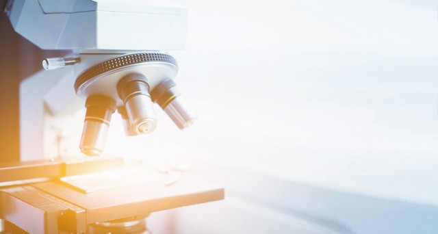 درباره زگیل تناسلی بیشتر بدانیم درباره زگیل تناسلی بیشتر بدانیم