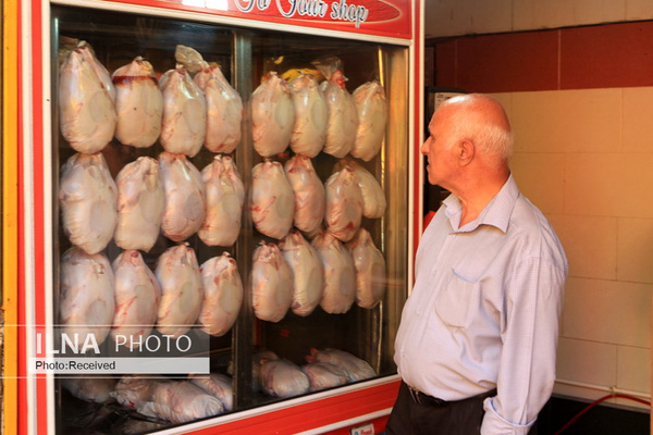 انجمن مرغداران: میتوانیم ۲۰۰۰ تن بیش از نیاز روزانه مرغ به بازار عرضه کنیم انجمن مرغداران: میتوانیم ۲۰۰۰ تن بیش از نیاز روزانه مرغ به بازار عرضه کنیم