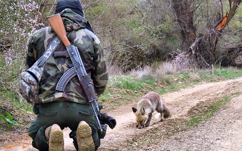 خبر خوب: امروز هیچ محیط‌بانی گلوله نخورد!