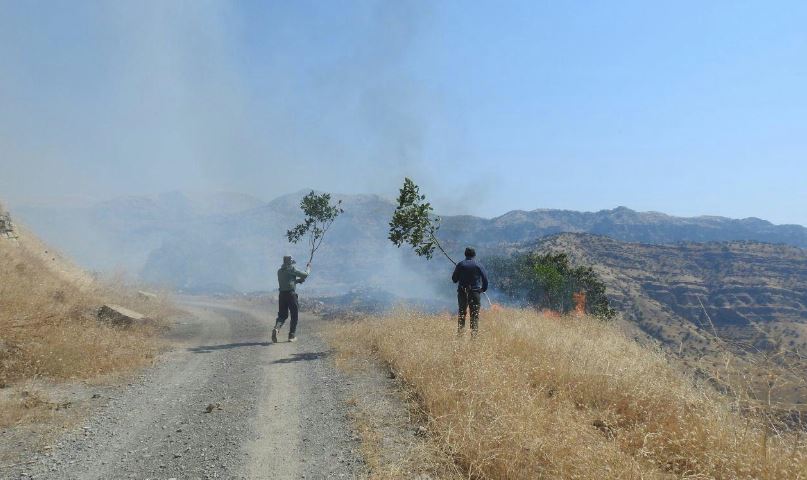 غلبه محیطبانان کرمانشاهی بر مین و آتش در روز محیطبان محیط زیست کرمانشاه