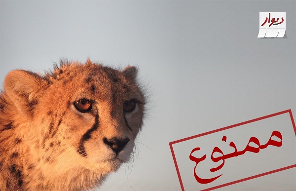 ممنوعیت فروش گونه‌های حیات وحش روی دیوار