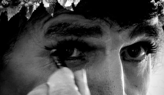 ۶ نمایش فیلم مستند «خرامان» در جشنواره های خارجی