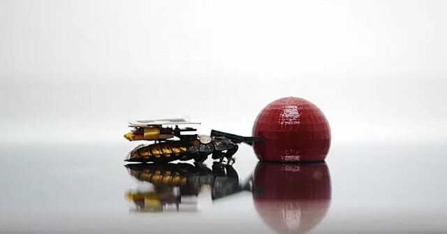 سوسک‌های رباتیک