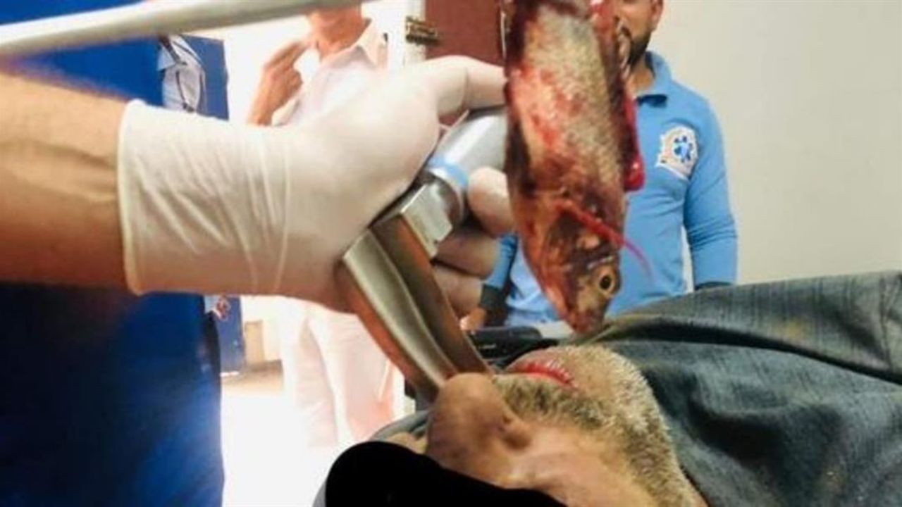 انتقامی که ماهی از ماهیگیر مصری گرفت انتقامی که ماهی از ماهیگیر مصری گرفت