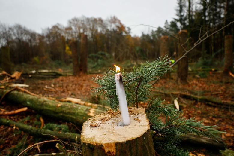 معترضان به ساخت بزرگراه در میان جنگلهای آلمان (+عکس) معترضان به ساخت بزرگراه در میان جنگلهای آلمان (+عکس)