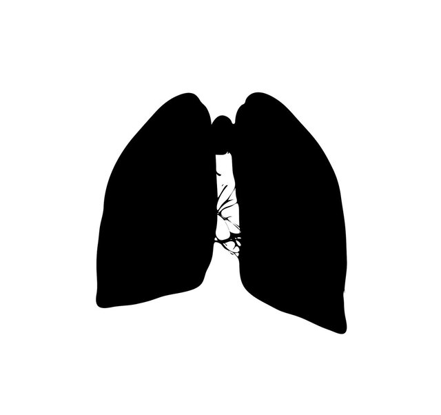 ابداع روشی برای ارزیابی دقیق کووید-۱۹ از روی تصاویر قفسه سینه قفسه سینه