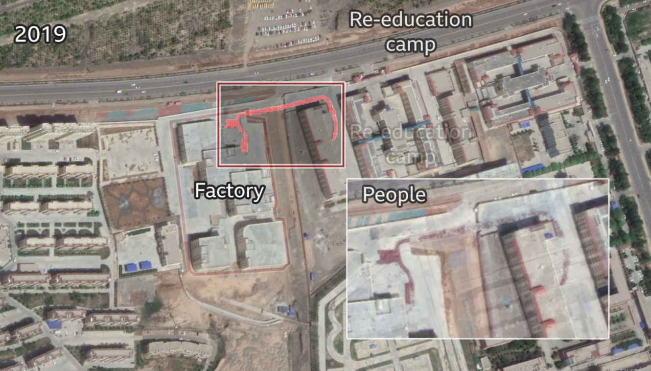 کار اجباری مسلمانان اویغور در مزارع ننگین پنبه  چین کار اجباری مسلمانان اویغور در مزارع ننگین پنبه  چین