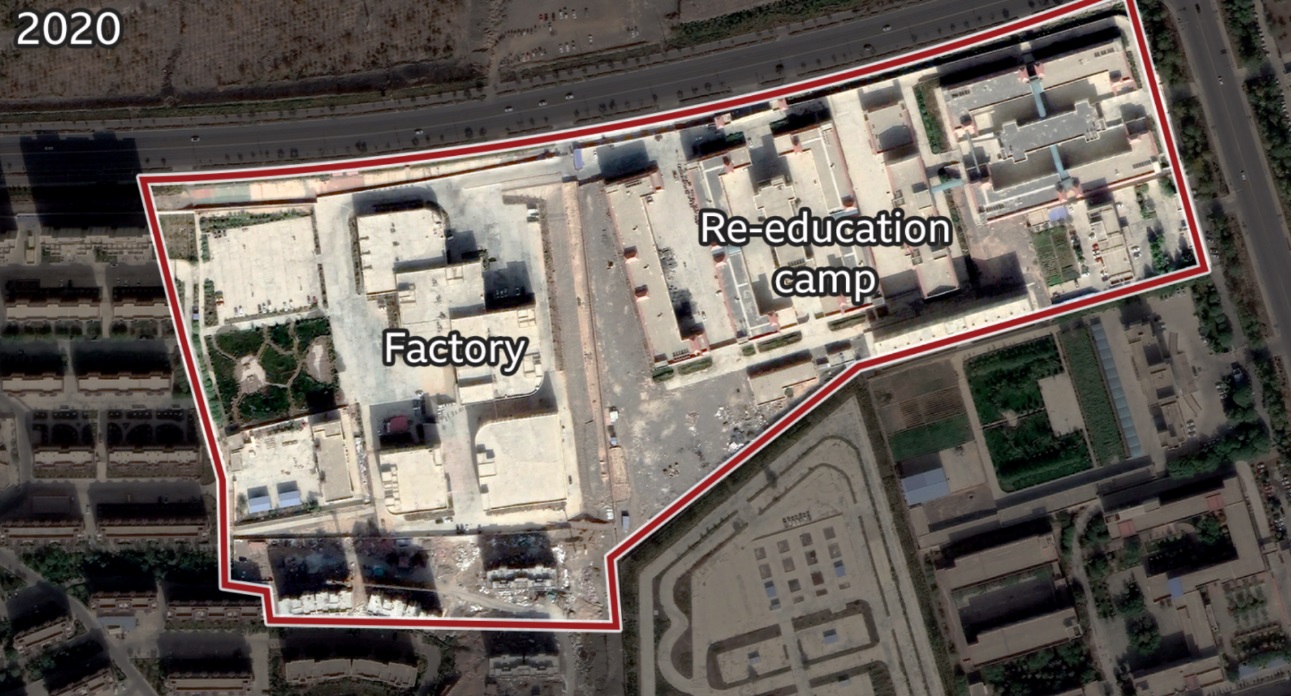 کار اجباری مسلمانان اویغور در مزارع ننگین پنبه  چین کار اجباری مسلمانان اویغور در مزارع ننگین پنبه  چین