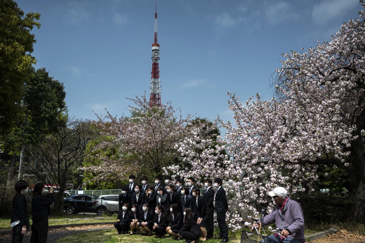 جشن شکوفه های گیلاس
