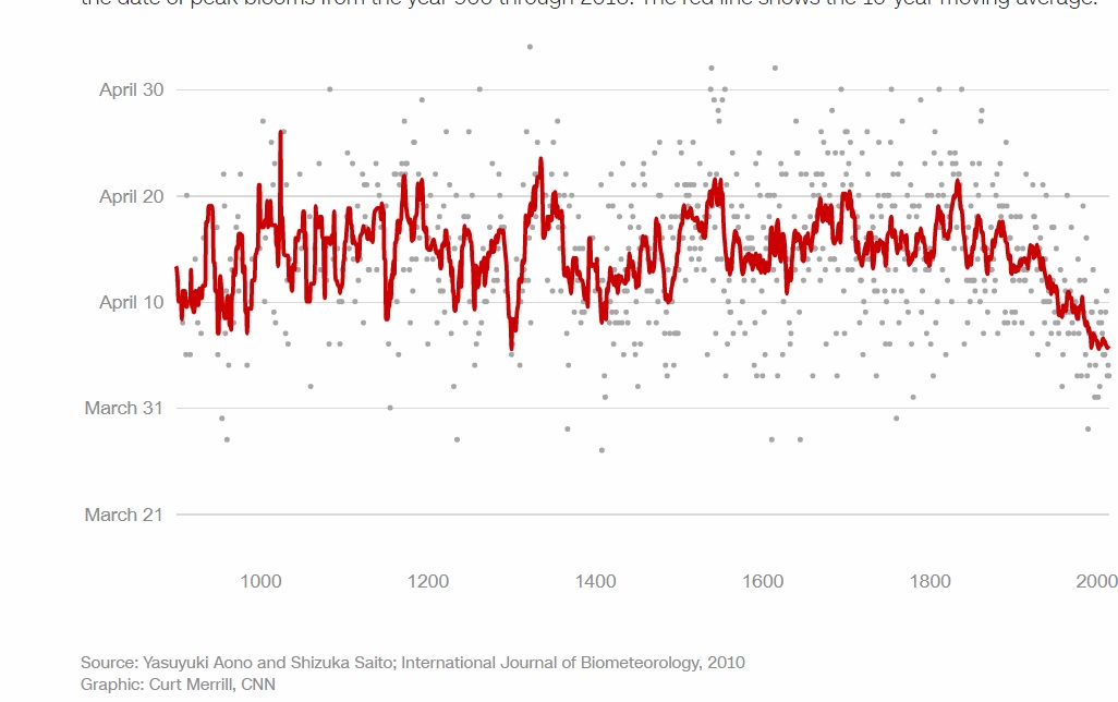 نمودار زمان شکوفه های گیلاس