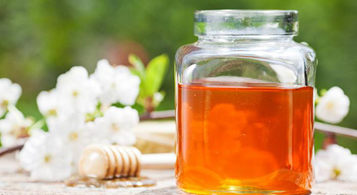 جهان بدون زنبور چگونه است؟ جهان بدون زنبور چگونه است؟