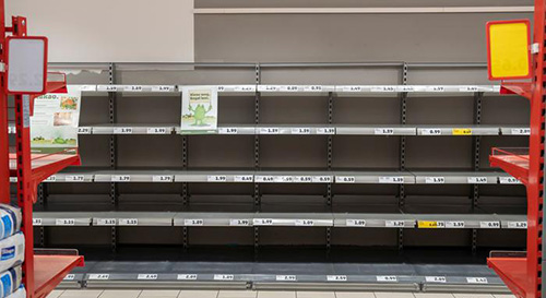 جهان بدون زنبور چگونه است؟ جهان بدون زنبور چگونه است؟