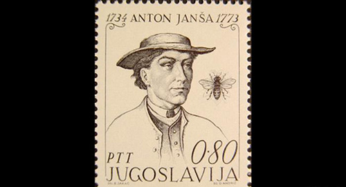 جهان بدون زنبور چگونه است؟ جهان بدون زنبور چگونه است؟