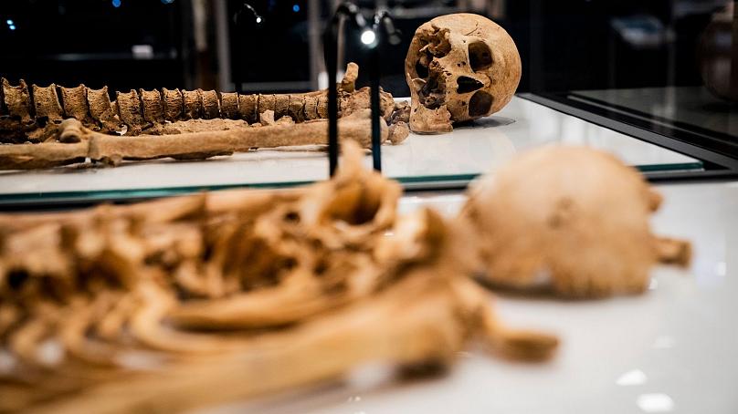 یک وایکینگ بعد از 1000 سال به دوستانش پیوست