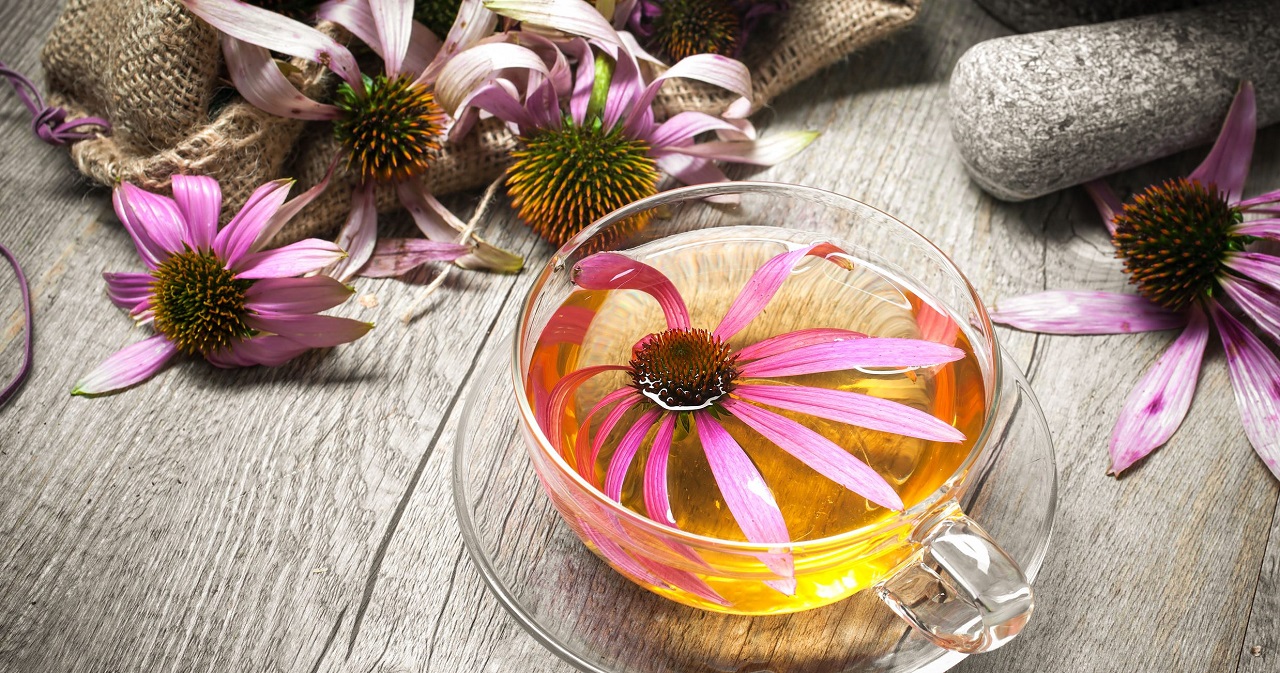 اکیناسه چیست و چه مزایایی برای بدن انسان دارد؟ اکیناسه چیست و چه مزایایی برای بدن انسان دارد؟