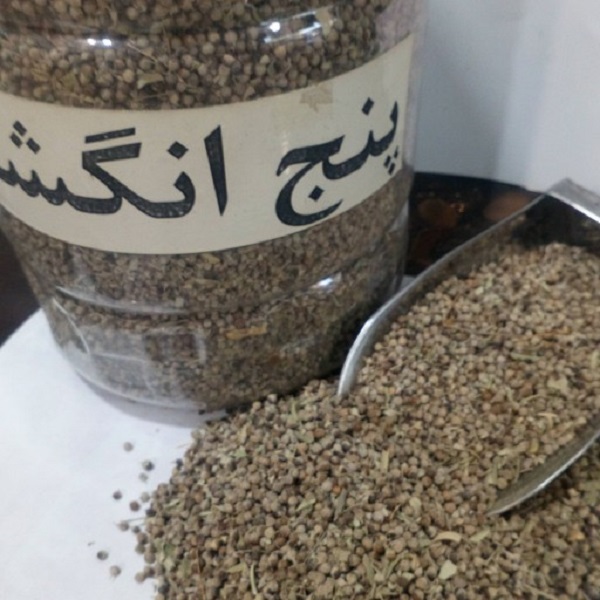 همه چیز درباره گیاه پنج انگشت؛ دانش روز دنیا چه می گوید؟