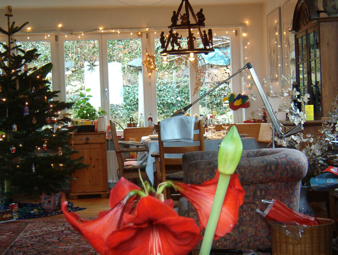 5 تست تصویری  جالب برای تقویت چشم و مغز: گربه ها را پیدا کنید 5 تست تصویری  جالب برای تقویت چشم و مغز: گربه ها را پیدا کنید