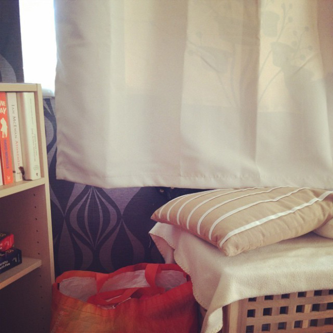 5 تست تصویری  جالب برای تقویت چشم و مغز: گربه ها را پیدا کنید 5 تست تصویری  جالب برای تقویت چشم و مغز: گربه ها را پیدا کنید