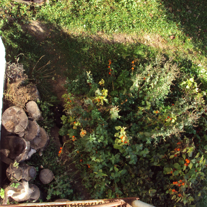 5 تست تصویری  جالب برای تقویت چشم و مغز: گربه ها را پیدا کنید 5 تست تصویری  جالب برای تقویت چشم و مغز: گربه ها را پیدا کنید