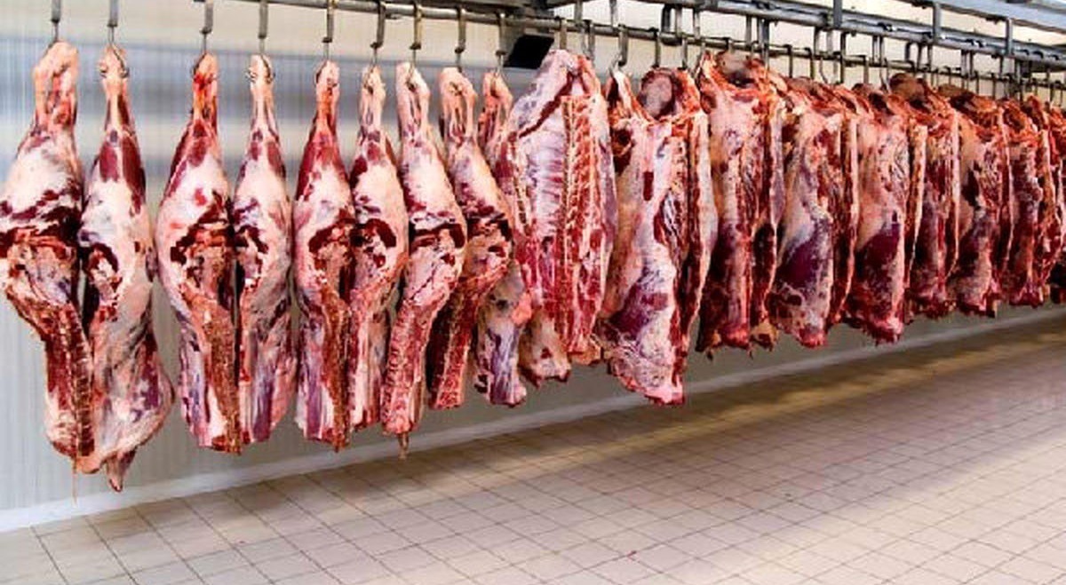 توزیع گوشت گوسفندی ۱۴۲ هزار تومانی بدون محدودیت در کشور