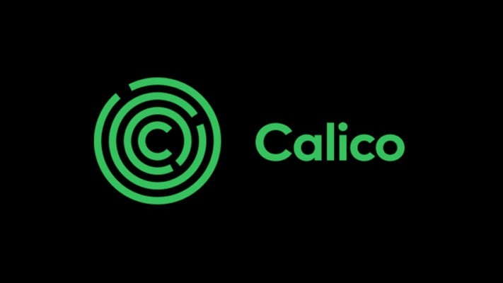 کالیکو گوگل کالیکو گوگل