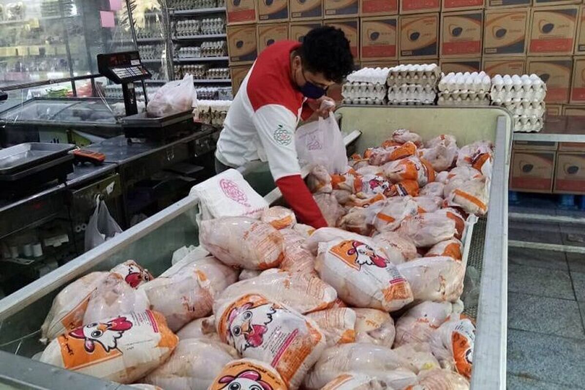 ایرنا: قیمت گوشت مرغ کماکان کمتر از ۶۰ هزار تومان