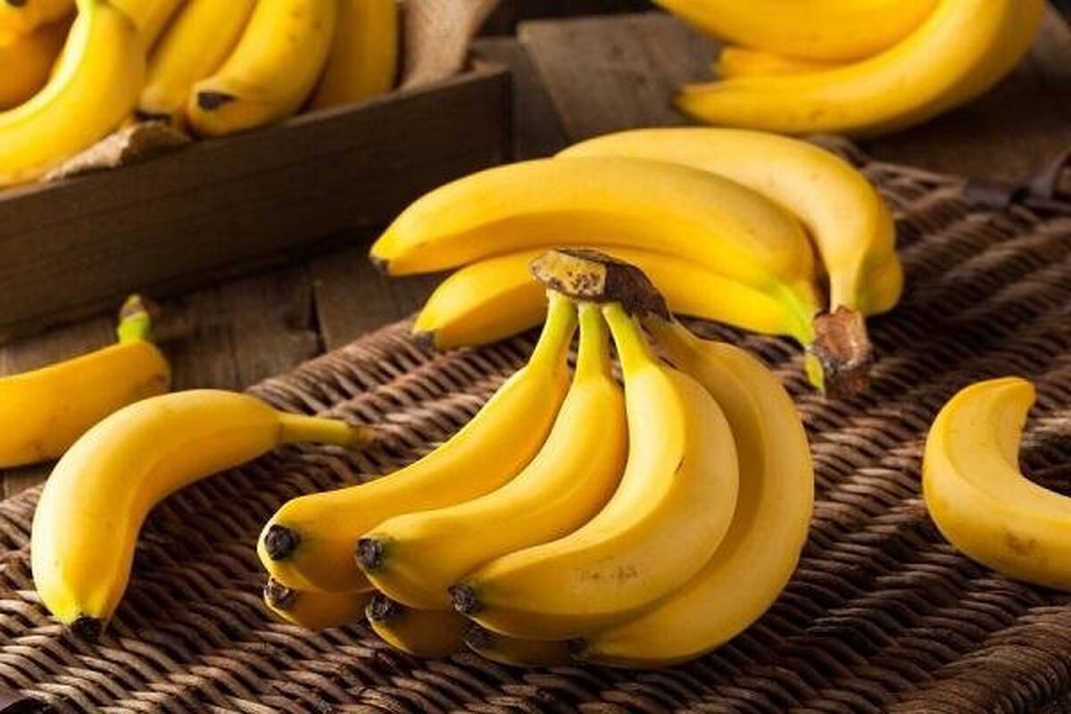 رئیس اتحادیه بارفروشان: افزایش قیمت موز بخاطر عدم تخصیص ارز نیمایی