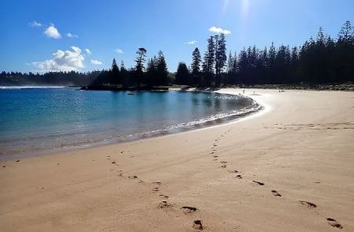 حلقه ازدواجی که دور گردن یک ماهی گیر کرده بود (+عکس)